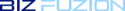 BizFuzion