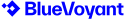 BlueVoyant