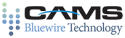 bluewiretech.com