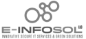 E-INFOSOL LLC