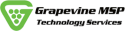 Grapevine MSP Technology Services