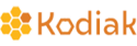Kodiak Technology Services