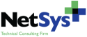 Network Systems Plus Inc