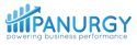 Panurgy - IT Business Solutions