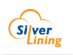 Silver Lining Information Technology Co., Ltd.