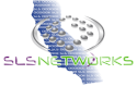 Sls Networks Inc