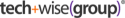 TechWise Group