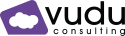 Vudu Consulting