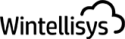 Wintellisys, Inc.